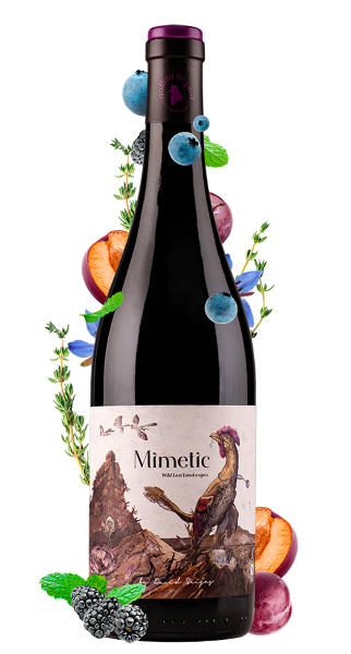 Fles rode wijn Merk: Mimetic van wijnmaker Gallina de Piel Wines