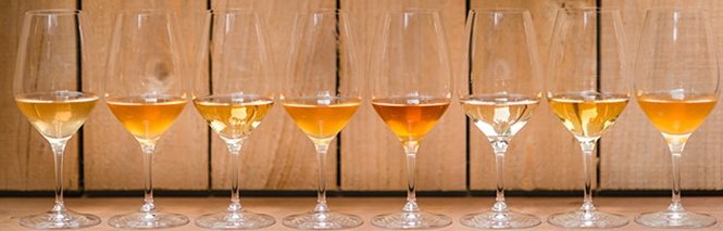 8 wijnglazen op een rij met Orange wine, de ultieme wildwijn