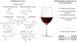 Quercetine in wijn - formules van ployfenolen