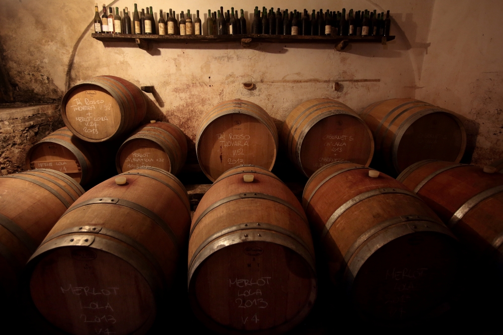 Wijnkelder in Colli Berici - foto van Consorzio Colli Berici e Vicenza. Achteraan ligt een vat met Tia Rosso
