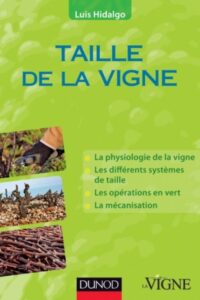 Taille de la vigne